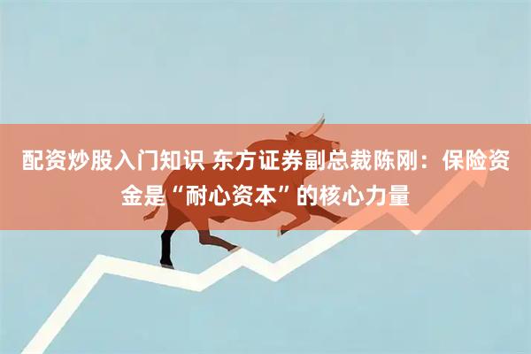 配资炒股入门知识 东方证券副总裁陈刚：保险资金是“耐心资本”的核心力量