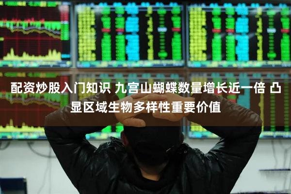 配资炒股入门知识 九宫山蝴蝶数量增长近一倍 凸显区域生物多样性重要价值