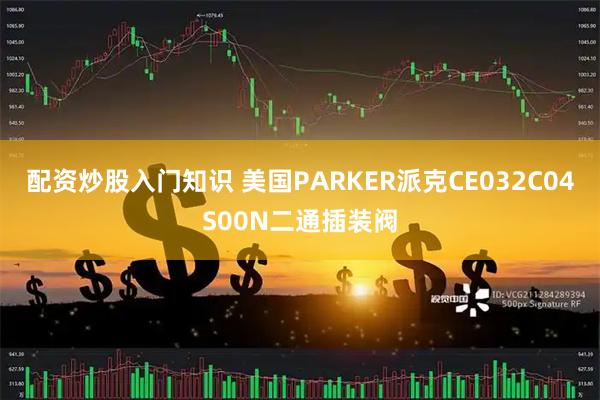 配资炒股入门知识 美国PARKER派克CE032C04S00N二通插装阀