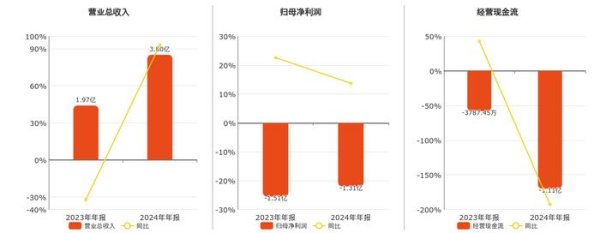 灵康药业(603669.SH)：2024年年报净利润为-1.31亿元