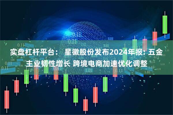 实盘杠杆平台： 星徽股份发布2024年报: 五金主业韧性增长 跨境电商加速优化调整