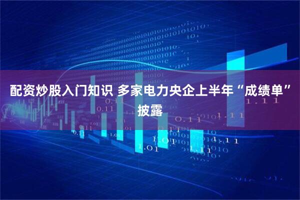配资炒股入门知识 多家电力央企上半年“成绩单”披露