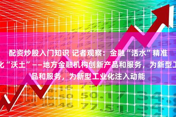 配资炒股入门知识 记者观察：金融“活水”精准滴灌新型工业化“沃土”——地方金融机构创新产品和服务，为新型工业化注入动能