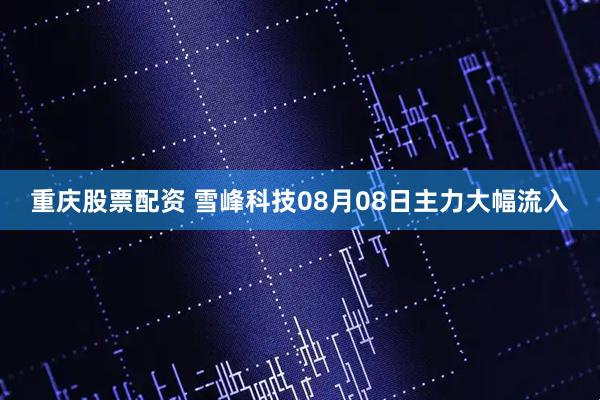 重庆股票配资 雪峰科技08月08日主力大幅流入